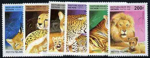 Benin 1995 Big Cats & Their Young complete set of 6, SG 1333-38,  Mi 704-09 unmounted mint*, stamps on cats