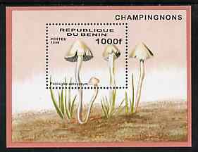 Benin 1996 Mushrooms m/sheet (1000f value) unmounted mint Mi BL 22, stamps on fungi