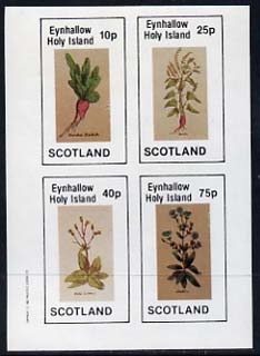Eynhallow 1982 Vegetables (Raddish, Lettuce, etc) imperf set of 4 values (10p to 75p) unmounted mint, stamps on vegetables     food