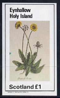 Eynhallow 1982 Flowers #07 (Dandelion) imperf souvenir sheet (Â£1 value) unmounted mint, stamps on flowers