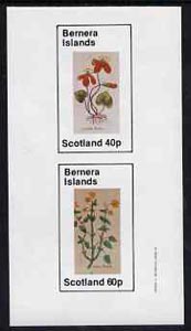 Bernera 1982 Violets (Scarlet V & Yellow V) imperf set of 2 values (40p & 60p) unmounted mint, stamps on flowers