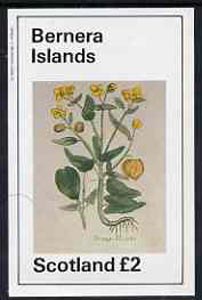 Bernera 1982 Violets (Strange V) imperf deluxe sheet (Â£2 value) unmounted mint, stamps on flowers