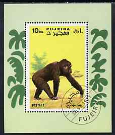 Fujeira 1971 Apes perf m/sheet cto used, Mi BL 80A, stamps on , stamps on  stamps on animals      apes