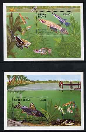 Sierra Leone 1991 Fishes set of 2 m/sheets unmounted mint, SG MS 1621, stamps on fish