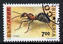 Bulgaria 1992 Ant 7L from Insects set of 8 very fine cds used, SG 3957*, stamps on insects