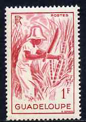 Guadeloupe 1947 Cutting Sugar Cane 1f red unmounted mint, SG 215*, stamps on sugar