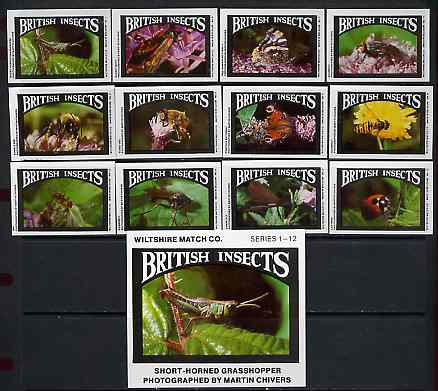 Match Box Labels - complete set of 12+1 British Insects superb unused condition (Wiltshire Match Co), stamps on insects, stamps on ladybirds