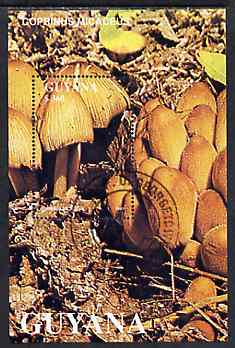 Guyana 1988 Mushrooms $360 m/sheet (Coprinus micaceus) very fine cto used , stamps on fungi