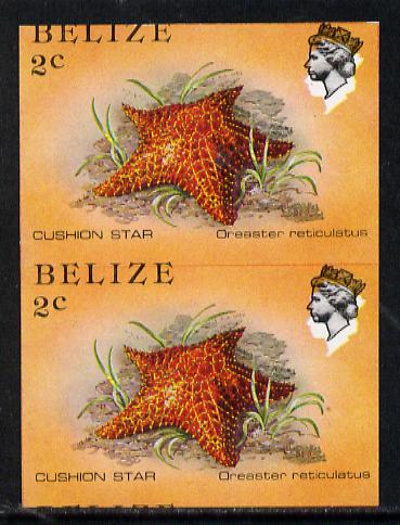 Belize 1984-88 Cushion Star 2c def in unmounted mint imperf pair showing superb 2mm shift of black (as SG 767) very fine double variety, stamps on marine-life  varieties