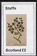 Staffa 1982 Plants #02 (Gooseberry Bush) imperf  deluxe sheet (Â£2 value) unmounted mint, stamps on flowers     fruit