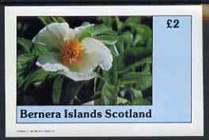 Bernera 1982 Flowers #06 imperf  deluxe sheet (Â£2 value) unmounted mint, stamps on flowers