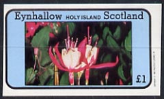 Eynhallow 1982 Flowers #08 (Fuschias) imperf  souvenir sheet (Â£1 value) unmounted mint, stamps on flowers, stamps on fuchsias