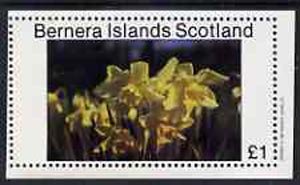 Bernera 1982 Flowers #07 imperf  souvenir sheet (Â£1 value) unmounted mint, stamps on flowers