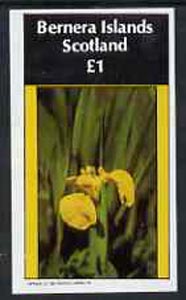 Bernera 1982 Flowers #09 (Iris) imperf  souvenir sheet (Â£1 value) unmounted mint, stamps on flowers, stamps on iris