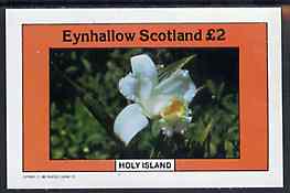 Eynhallow 1982 Flowers #10 imperf  deluxe sheet (Â£2 value) unmounted mint, stamps on flowers