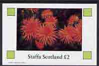 Staffa 1982 Flowers #13 imperf  deluxe sheet (Â£2 value) unmounted mint, stamps on flowers