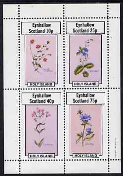Eynhallow 1982 Flowers #11 perf  set of 4 values (Scarlet Pimpernel, Speedwell, etc) unmounted mint, stamps on flowers