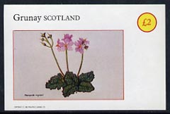 Grunay 1982 Flowers #01 imperf deluxe sheet (Â£2 value Ramonda Myconi) unmounted mint, stamps on flowers