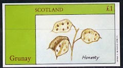 Grunay 1982 Flower Seeds (Honesty) imperf souvenir sheet (Â£1 value) unmounted mint, stamps on flowers