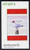 Staffa 1982 Birds #44 (Black Headed Gull) imperf souvenir sheet (Â£1 value) unmounted mint, stamps on birds      gull    