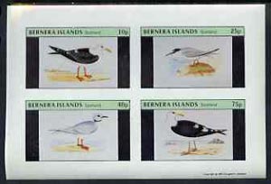 Bernera 1981 Gulls imperf set of 4 values complete (10p to 75p) unmounted mint, stamps on birds   gulls