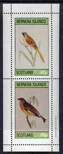 Bernera 1981 Birds #01 perf  set of 2 values complete (40p & 60p) unmounted mint, stamps on birds  