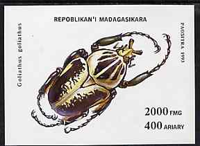 Madagascar 1993 Beetles unmounted mint m/sheet, Mi BL 254, stamps on insects