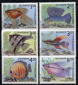 Bulgaria 1993 Fishes complete set of 6 unmounted mint, SG 3909-14, Mi 4049-54*, stamps on , stamps on  stamps on fish