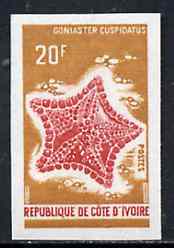 Ivory Coast 1971 Goniaster cuspidatus 20f imperf from limited printing, unmounted mint as SG 358, stamps on marine-life