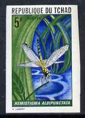 Chad 1972 Insects 5f (Hemistigma albipunctata) imperf from limited printing unmounted mint as SG 362*, stamps on insects, stamps on dragonflies