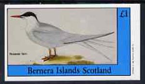 Bernera 1982 Sea Birds #02 (Roseate Tern) imperf souvenir sheet (Â£1 value) unmounted mint, stamps on birds        terns