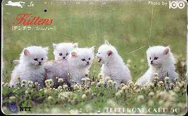 Telephone Card - Japan 50 units phone card showing Five White Kittens in Field (card dated 1.11.1988), stamps on cats