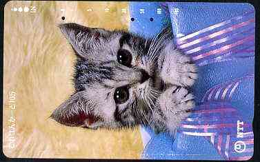 Telephone Card - Japan 105 units phone card showing Kitten in Festive Box (vert) (card dated 15.7.1990), stamps on cats    