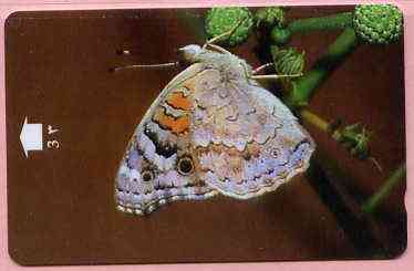 Telephone Card -Oman 3r phone card showing Blue Pansy #2 Butterfly, stamps on butterflies
