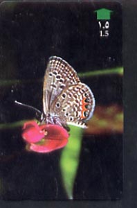 Telephone Card -Oman 1.5r phone card showing Grass Jewel Butterfly, stamps on butterflies