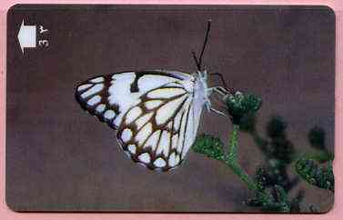 Telephone Card -Oman 3r phone card showing Caper White Butterfly, stamps on butterflies