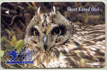 Telephone Card - Jersey £2 phone card showing Short Eared Owl (The Hawk & Owl Trust), stamps on birds, stamps on birds of prey, stamps on owls