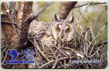Telephone Card - Jersey £2 phone card showing Long Eared Owl (The Hawk & Owl Trust), stamps on birds, stamps on birds of prey, stamps on owls