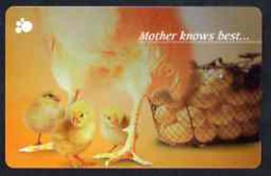 Telephone Card - Singapore $20 phone card showing 3 Baby Chicks (Mother knows best), stamps on birds    chickens