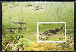 Belarus 1997 Fishes unmounted mint imperf m/sheet SG MS 250, stamps on fish