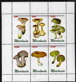 Mordovia Republic 1998 Fungi #1 perf sheetlet containing complete set of 6 values unmounted mint, stamps on , stamps on  stamps on fungi  
