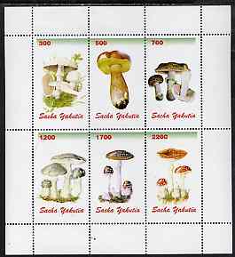 Sakha (Yakutia) Republic 1998 Fungi #1 perf sheetlet containing complete set of 6 values unmounted mint, stamps on fungi  