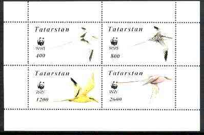 Tatarstan Republic 1998 WWF - Birds perf sheetlet containing complete set of 4 values unmounted mint, stamps on wwf    birds, stamps on  wwf , stamps on 