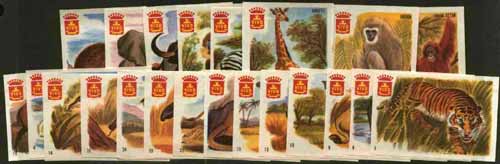 Match Box Labels - complete set of 25 Animals superb unused condition (Dutch Vivo set issued in 1963), stamps on animals    ardvaak    llama    tapir, stamps on bovine, stamps on     antelope    apes     cats    puma   bison     buffallo    panther    camel       gnu    rhino    lion     zebra    hippo    giraffe    tiger     elephant     bear    kangaroo , stamps on tigers
