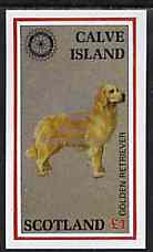 Calve Island 1998 Rotary Int opt in silver on 1984 Rotary - Dogs imperf souvenir sheet (Â£1 value) unmounted mint, stamps on animals  dogs  rotary   retriever