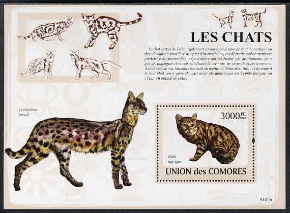 Comoro Islands 2009 Domestic Cats perf m/sheet unmounted mint, stamps on cats