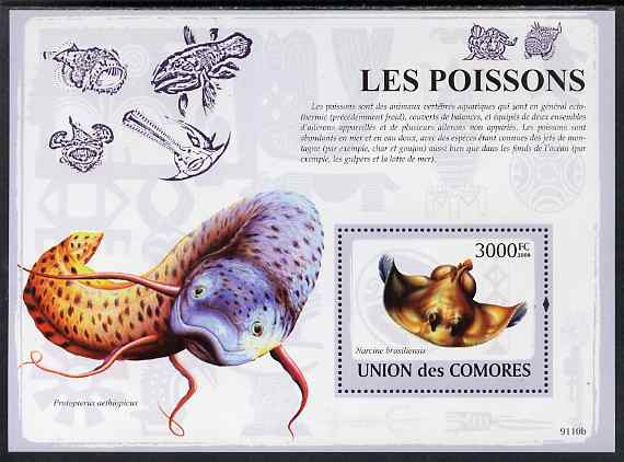 Comoro Islands 2009 Fish perf m/sheet unmounted mint, stamps on fish