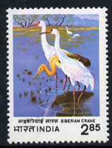 India 1998 Siberian Crane unmounted mint, stamps on birds     cranes