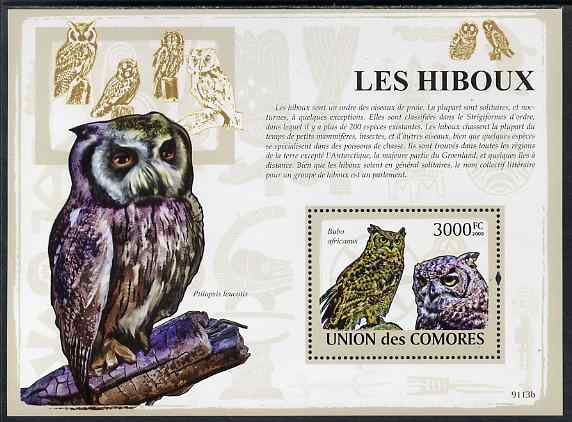 Comoro Islands 2009 Owls perf m/sheet unmounted mint, stamps on birds, stamps on birds of prey, stamps on owls