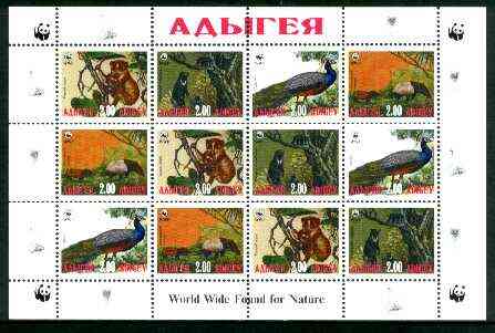 Adigey Republic 1998 WWF - Wild Animals & Birds perf sheetlet containing complete set of 12 (3 sets of 4) unmounted mint, stamps on wwf     animals   , stamps on  wwf , stamps on 
